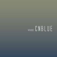 CN Blue : Voice